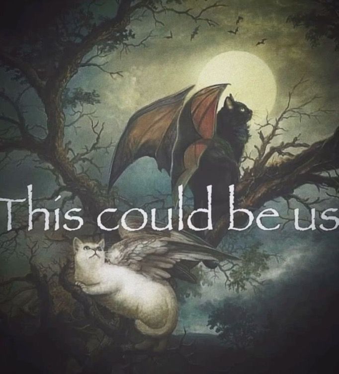 Art of two cats with bat wings captioned 'This could be us'