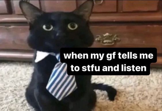 A picture of a black cat with a tie captioned 'when my gf tells me to stfu and listen'